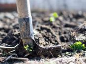 Main Benefits Mulching