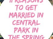 Eleven Reasons Married Spring Central Park
