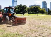 Friends Work: Caring Grass Soils Beneath Your Feet November 2017