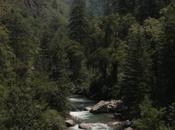 DAILY PHOTO: Mountain Streams