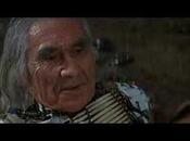 This Brave World (the Twitterverse)...