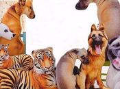 Newchic: Your Best Source Cute Emoji Pillows