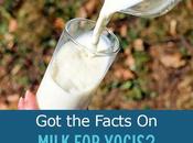 Facts Milk Yogis?