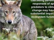 #ClimateFacts Series: #ClimateChange #Science #Wolves
