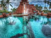 Traveling UAE? Then Visit Adventure Spots Luxury Hotels Stay!