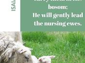 Thirty Days Jesus: Shepherd