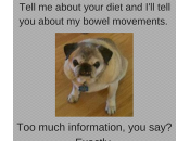 Dogs Help Tell Food Police Take Holiday