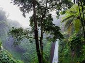 Spectacular Facts About Amazon Rainforest