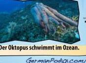 Learn German Online?