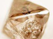 Recognise Rare Diamonds York Guest Post Rajesh Ullal