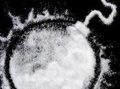 Gary Taubes BMJ: What Sugar Worse Than Just Empty Calories?