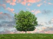 Eco-Friendly Home Projects Complete 2018