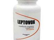 Leptovox Review 2014: Side Effects Ingredients