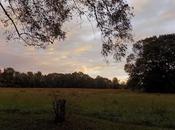 Move Holy Spirit Christian Emotionalists