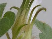 Bible Reading Plan Thoughts: Flood Recedes