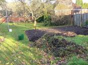 Returning Enthusiasm?