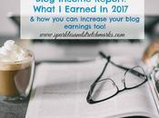 What Earned From Blogging 2017 How!