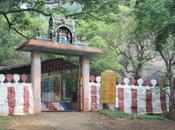 DAILY PHOTO: Temple Gate Woods