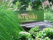 Yoga Healthy Aging Intensive Coming Kripalu Center, Massachusetts This Spring!