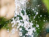 Friday Fotos: Sampler