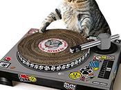 GOOD IDEA... WASTE MONEY? Scratch Turntable