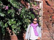 Don't Disagree With Anyone, Anymore