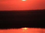DAILY PHOTO: Sunset Over Chobe River