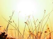 #ChurchToo Movement Blossoms, More Light Cast Abuse Cover-Up Churches: Gathering Recent News (Including Latest Pope Francis)