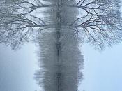 Nightly #London #Photoblog 09:02:18: London's Lungs