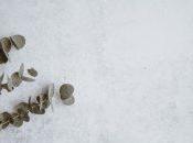 Curses General With Caulbearer