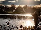 Nightly #London #Photoblog 11:02:18: Wintry Hyde Park