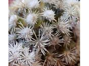 Hate Week Essay Wisdom Hates What