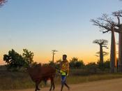 Madagascar Facts: Many Know?