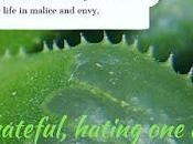 Hate Week Essay Hating Jesus, Once