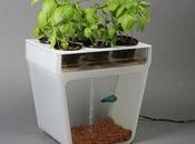 Innovative Home Appliances Meant Making Your Daily Chores Easy!