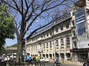 DAILY PHOTO: Tree Granite Building