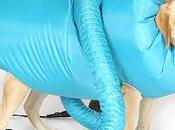 GOOD IDEA -or- WASTE MONEY?? Puff-N-Fluff Dryer