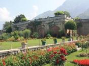 DAILY PHOTO: Terraced Gardens Srinagar