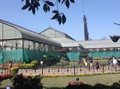 DAILY PHOTO: Bagh’s Glass House