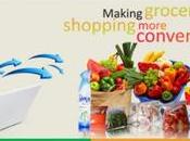 Shop Groceries Like Waste Them!