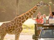 What’s Spring Summer Travel Busch Gardens