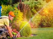 What Lawn Care Company Christiansburg Before Hiring