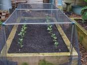 They Survived Again!