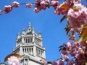 Around #London #Photoblog… Here's What We've Look Forward #Spring