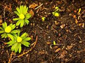 Doing Enough Business Owner Green?