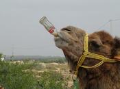 Celebrities Valuing Ethics Over Money While Endorsing Brands