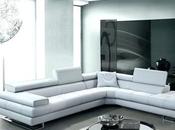 Living Room With Grey Leather Sofa