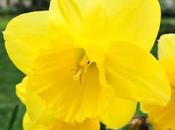 Around #London #Photoblog… Gordon Square, Bloomsbury First Signs Spring