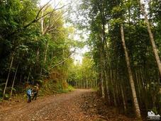 Cebu Highlands Trail Segment Samboryo Lutopan