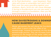 Handle Leak Basement Infographic